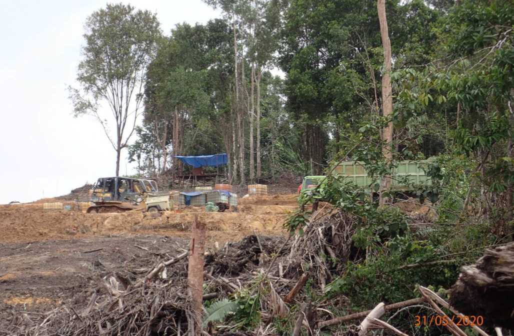 Palmöl statt Regenwald: Kettensägen, Bulldozer und Planierraupen verwüsteten 86 ha Wald © SAVE Wildlife