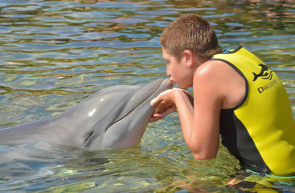 Delfinkuss in einem Delfinarium