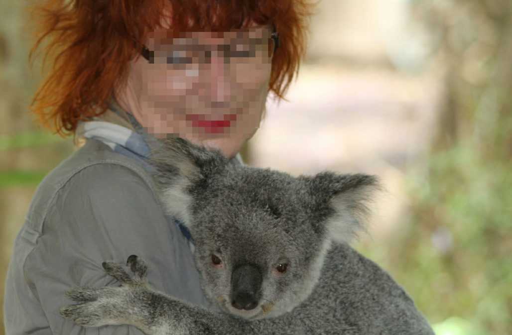 Urlaubsfoto mit Koala