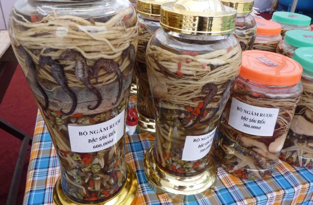 Traditionelle Asiatische Medizin TCM Präparat aus Wildtieren