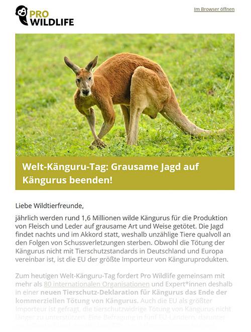 newsletter pro wildlife